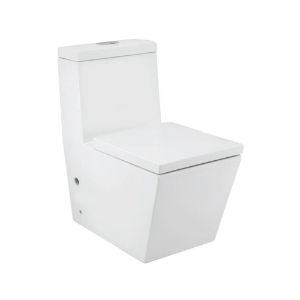 Picture of Single Piece WC with UF soft close seat cover.